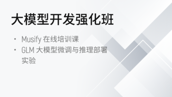 大模型开发强化班